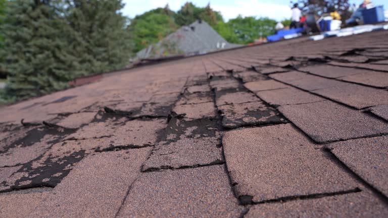 Best Roof Maintenance and Cleaning  in Waurika, OK